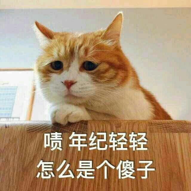 主题:测试(勿入) [12]收藏该贴已收藏只看楼主