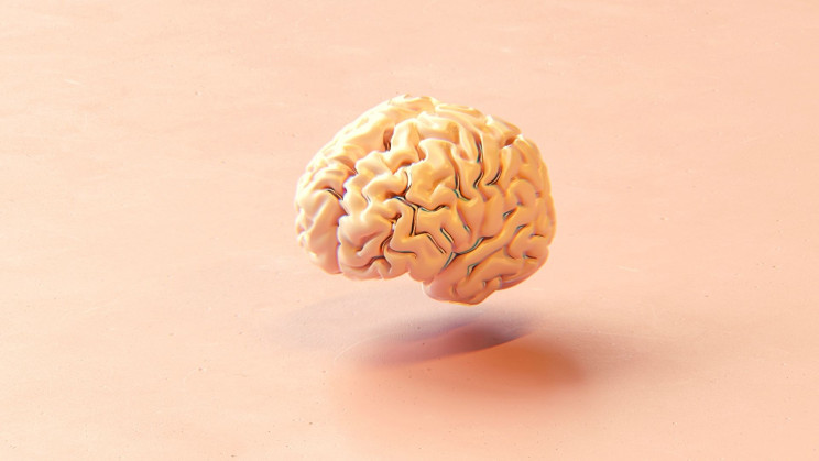 科学家在3D打印生物反应器中培育出类脑器官.jpg