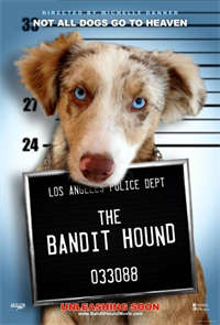 The Bandit Hound海报